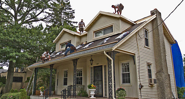 Best Metal Roofing Contractor  in Jeannette, PA